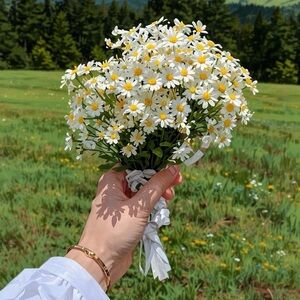 Meet your Posher, Aneetta